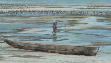 A-woman-walks-through-the-tide-with-a-load-on-her-head-in-Zanzibar