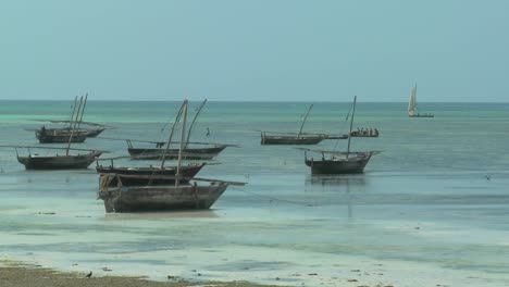 Afrikanische-Dhau-Segelboote-Entlang-Der-Azurblauen-Küste-Von-Sansibar-Tansania