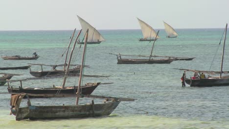 Dhow-sailboats-head-out-to-fish-off-the-coast-of-Zanzibar