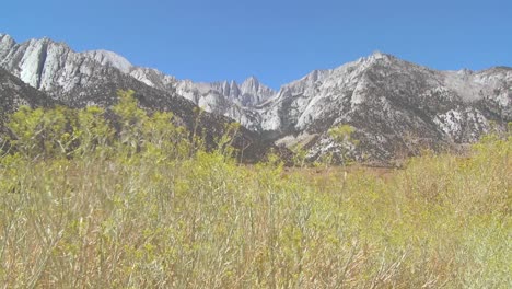 Pinsel-Bläst-Vor-Mt-Whitney-In-Den-Sierra-Nevada-Bergen-In-Kalifornien