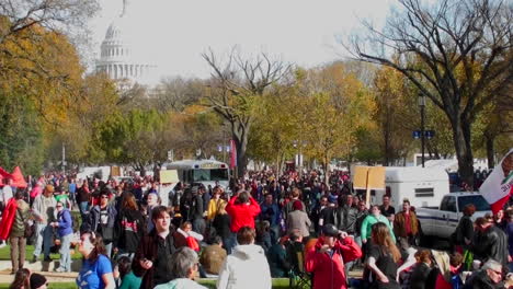 Riesige-Menschenmengen-Von-Demonstranten-Versammeln-Sich-In-Washington,-D.C.-Zu-Einer-Protestkundgebung-1