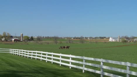 An-amish-farmer-uses-horses-to-plow-his-fields