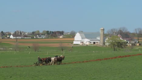 Un-Granjero-Amish-Usa-Caballos-Para-Arar-Sus-Campos-1