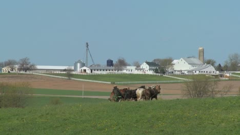 Un-Granjero-Amish-Usa-Caballos-Para-Arar-Sus-Campos-3