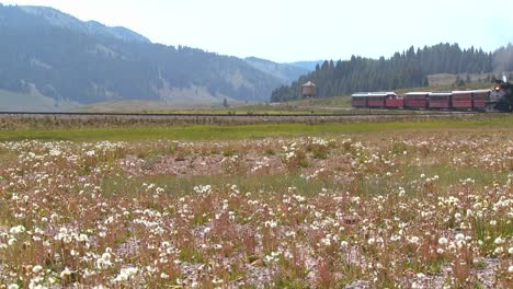 A-steam-train-passes-through-fields-in-the-Rocky-Mountains