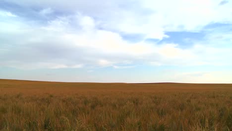 Vast-open-plains-stretch-out-to-the-horizon