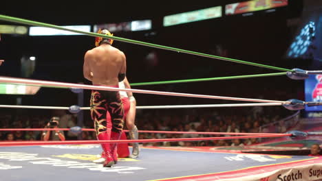 Lucha-libre-26