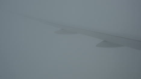 Plane-View-11