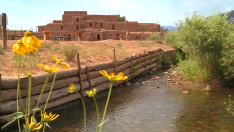 Yellow-flowers-near-the-Taos-pueblo-in-New-Mexico-1