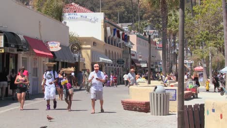 Die-Strandpromenade-Von-Catalina-Island-In-Südkalifornien