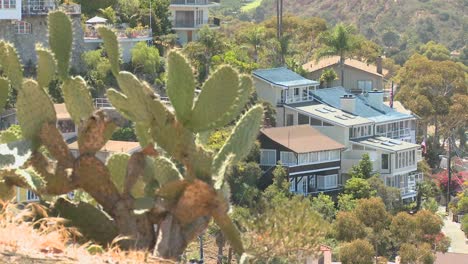 A-house-on-a-Southern-California-hillside-features-cactus-and-brush
