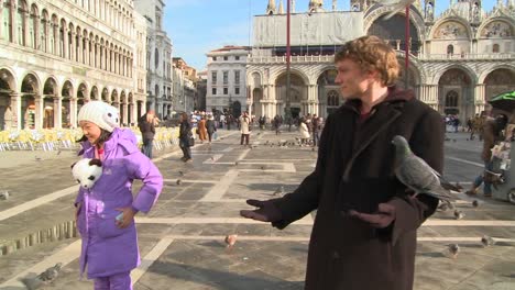 La-Gente-Alimenta-A-Las-Palomas-En-La-Plaza-De-San-Marcos-En-Venecia-Italia