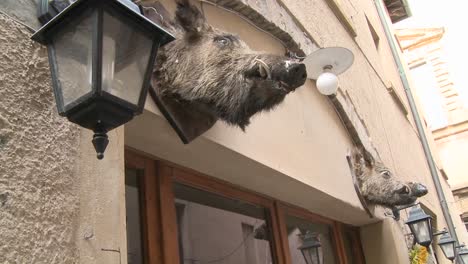 Ein-Wildschweinkopf-Hängt-Vor-Einem-Restaurant-In-Italien-1