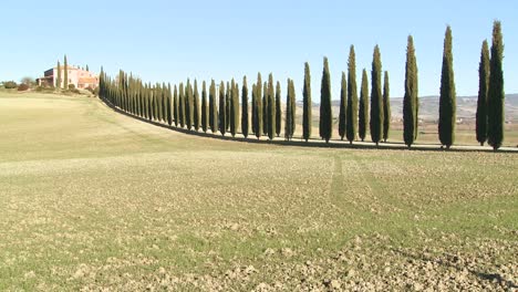 A-wide-shot-of-a-farm-villa-with-long-rows-of-trees-in-Tuscany-Italy-5