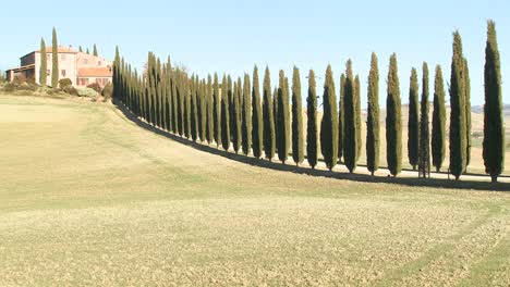 A-wide-shot-of-a-farm-villa-with-long-rows-of-trees-in-Tuscany-Italy-6