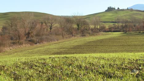Schöne-Sanfte-Grüne-Felder-Und-Hügel-Deuten-Auf-Die-Landwirtschaft-In-Der-Toskana-Hin