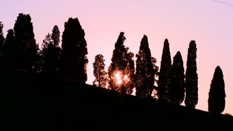 The-sun-sets-behind-a-beautiful-row-of-trees-in-Tuscany-Italy
