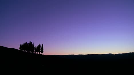 A-cluster-of-Italian-cypress-trees-at-dusk-on-a-hillside-in-Tuscany-Italy-1