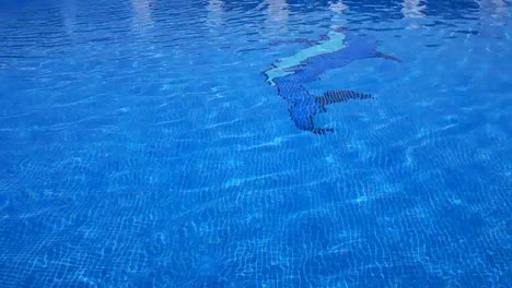 Swimming-Pool-04