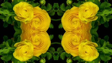 Gelbe-Blume1