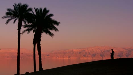 Palm-trees-and-a-father-and-son-in-silhouette-along-the-shoreline-of-the-Dead-Sea-in-Israel-at-dusk