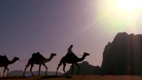 Un-Tren-De-Camellos-Cruza-El-Desierto-De-Arabia-En-Wadi-Rum-Jordan-1