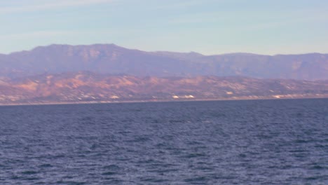 Ein-Wal-Taucht-Und-Spritzt-Mit-Seinem-Schwanz-Vor-Der-Küste-Von-Santa-Barbara-Kalifornien