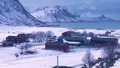 Ein-Einsames-Und-Abgelegenes-Dorf-Auf-Den-Arktischen-Lofoten-Norwegen