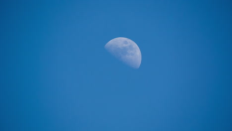 Blauer-Mond-00