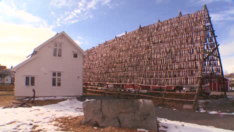 Fische-Werden-Auf-Den-Lofoten-Norwegen-Auf-Pyramidenholzgestellen-Zum-Trocknen-Aufgehängt