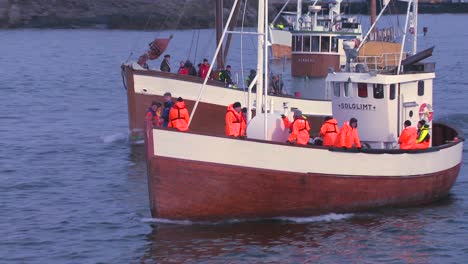 A-large-fleet-of-traditional-commercial-fishing-boats-sails-out-to-sea-of-Norway-in-the-Lofoten-Islands-3