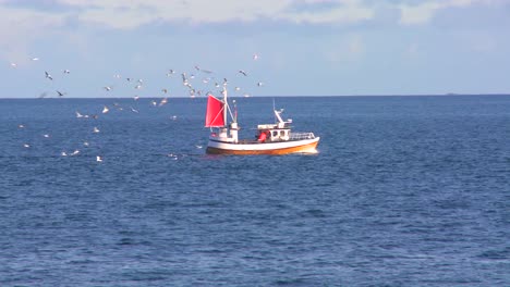 Seagulls-chase-a-fishing-trawler-across-a-bay-in-Norway-1