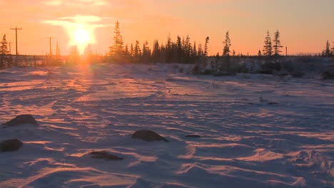 Sonnenaufgang-über-Der-Gefrorenen-Tundra-In-Der-Arktis