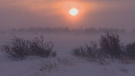Sonnenaufgang-Oder-Sonnenuntergang-über-Gefrorener-Tundra-In-Der-Arktis-Während-Eines-Intensiven-Schneesturms-1
