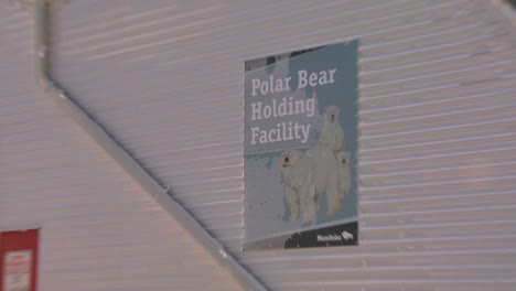 Polar-bears-who-misbehave-are-confined-in-the-polar-bear-jail-in-Churchill-Manitoba-Canada