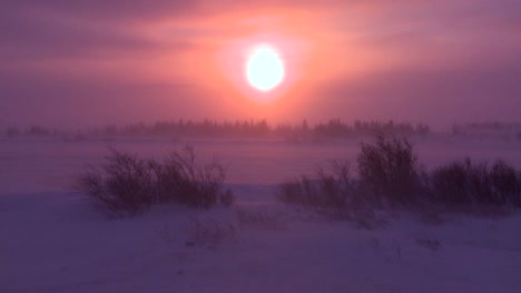 Amanecer-O-Atardecer-En-El-Ártico-Durante-Una-Intensa-Tormenta-De-Nieve