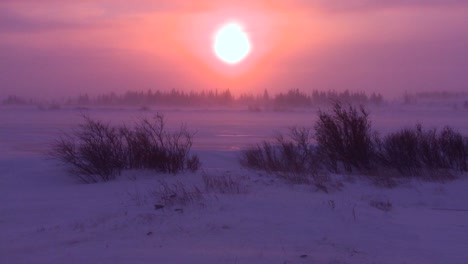 Sonnenaufgang-Oder-Sonnenuntergang-In-Der-Arktis-Während-Eines-Intensiven-Schneesturms-1