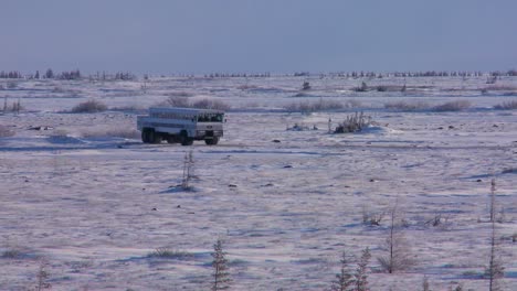 Ein-Arktischer-Crawler-Tundra-Buggy-Bewegt-Sich-über-Die-Gefrorene-Weite-Von-Hudson-Bay-Kanada-1