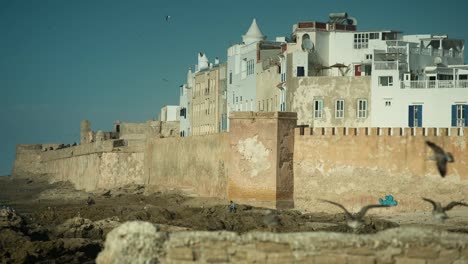 Essaouira-Boote-11
