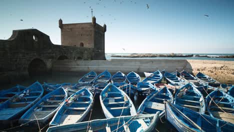 Essaouira-Boote-13