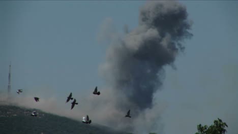 Vögel-Fliegen-Von-Bäumen,-Während-Eine-Rauchwolke-Von-Einem-Raketenangriff-Im-Israel-Libanon-Krieg-Aufsteigt