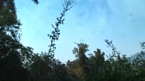 A-firefighting-plane-dumps-chemical-retardant-on-a-forest-fire