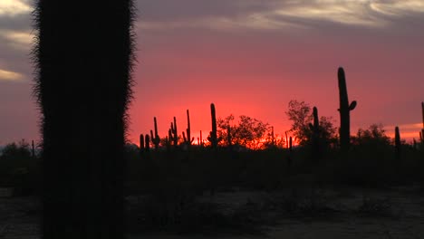 The-sun-sets-in-the-desert