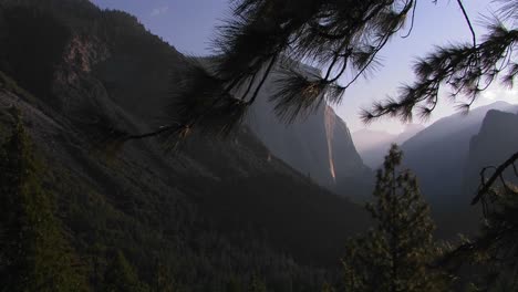 Pine-trees-stand-at-the-edge-of-a-hillside-overlooking-the-El-Capitan-rock-formation-in-Yosemite-National-Park-1
