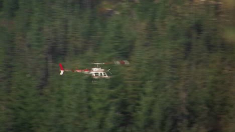 Ein-Helikopter-Fliegt-über-Einen-Kiefernwald-Im-Mt-St-Helens-Nationalpark