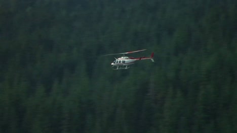 A-helicopter-flies-over-forested-hills-at-Mt-St-Helens-National-Park