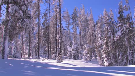 Pan-across-a-beautiful-snowscape-in-winter