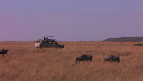 Geländewagen-Fahren-In-Der-Afrikanischen-Savanne