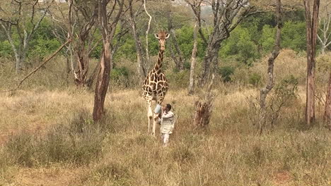 Ein-Mann-Mit-Einem-Eimer-Und-Eine-Giraffe-Gehen-Gemeinsam-Durch-Den-Dschungel