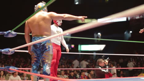 Mexican-Wrestling-11
